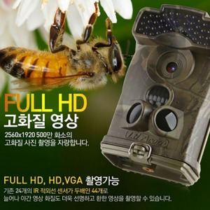 R-6310 감시카메라 무선CCTV 야간적외선캠코더 농촌벌통 양봉 장뢰삼 산삼인삼감시